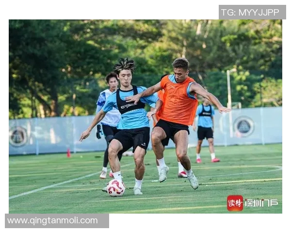 深圳网球队战术引发热议球迷与专家观点大相径庭